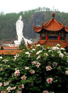 三和牡丹景區 三和牡丹景區