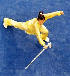 太極劍[太極拳門派中的劍術]