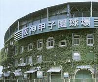 日本甲子園大學 日本甲子園大學