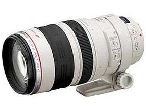 佳能 EF 100-400mm f/4.5-5.6L IS USM