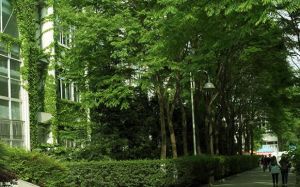 四川大學錦城學院