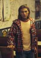 那夜凌晨，我坐上了旺角開往大埔的紅VAN[2013年陳果執導香港電影]