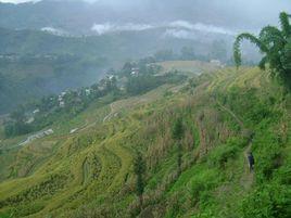 馬宗行政村 馬宗行政村