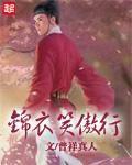 錦衣笑傲行 錦衣笑傲行