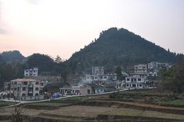 金雞山組 金雞山組