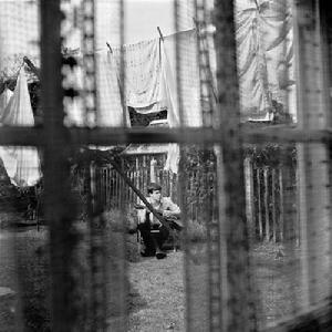 Chaos and Creation in the Backyard Chaos and Creation in the Backyard