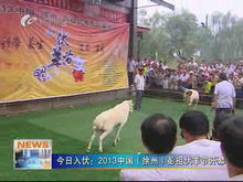 2013年伏羊節