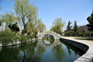 汶溪公園 汶溪公園