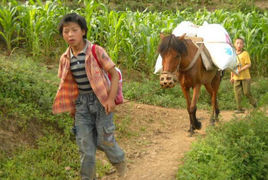 單騎少年 單騎少年