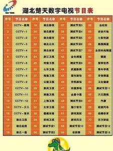 湖北省楚天數位電視有限公司