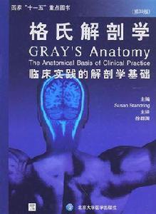 格氏解剖學 格氏解剖學