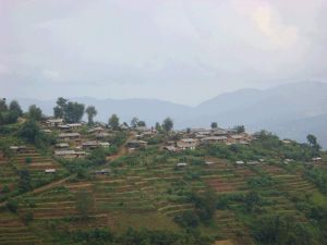 芒而多依寨村 芒而多依寨村