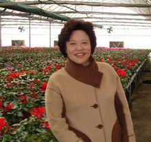 蔣莉[淮安主任中醫師]