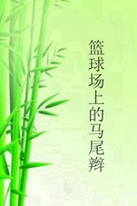 籃球場上的馬尾辮 籃球場上的馬尾辮