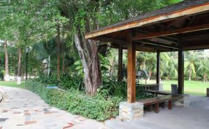 金陵海景花園 金陵海景花園