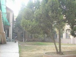 中國地質大學政法學院 中國地質大學政法學院