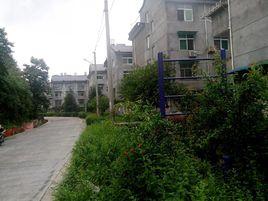 張寸村[浙江龍泉市龍淵街道下轄村]