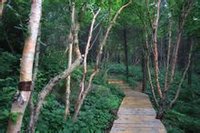 白草窪國家森林公園