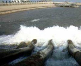 陳行水庫 陳行水庫