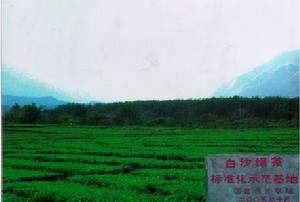 （圖）白沙農場