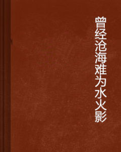 曾經滄海難為水火影
