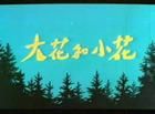 大花和小花 大花和小花