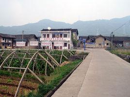 涼水井鎮[貴州省銅仁市思南縣涼水井鎮]