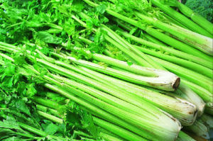 芹菜