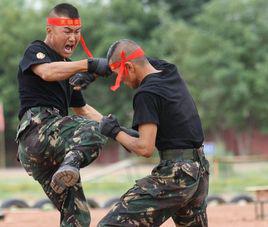 天狼突擊隊 天狼突擊隊