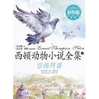 信鴿阿諾 信鴿阿諾