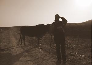 （圖）雄崖所村