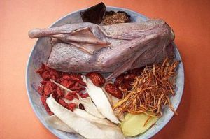 冬蟲草淮杞雄鴨湯