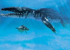 腔棘魚之謎 腔棘魚之謎