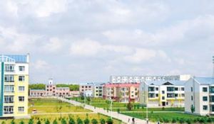 鴨綠河農場 鴨綠河農場