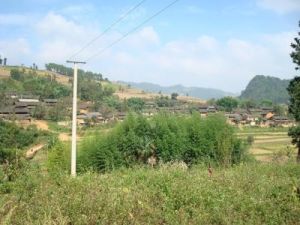 黃草山自然村 黃草山自然村