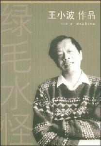 綠毛水怪[小說]