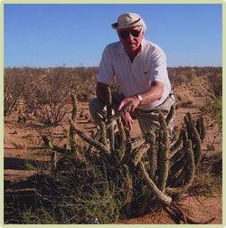 荷亭瘦身膠囊 荷亭瘦身膠囊