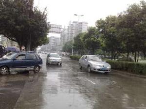 置信麗都花園·麗府二期 置信麗都花園·麗府二期