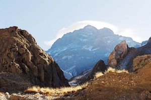 魚兒紅鄉 魚兒紅鄉