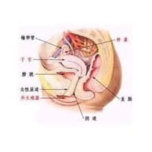 肝經濕熱 肝經濕熱