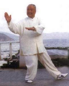 楊振鐸[楊氏太極拳傳人]