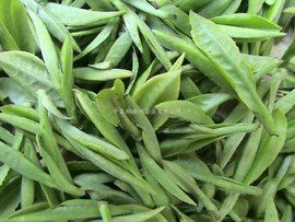 千島玉葉 千島玉葉