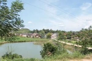 連子塘村 連子塘村