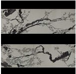 1741年汪士慎墨梅卷 1741年汪士慎墨梅卷