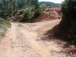 冊腳自然村 冊腳自然村