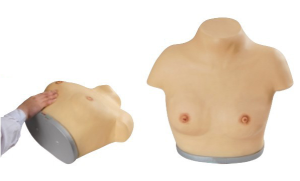 高級乳腺視診與觸診模型