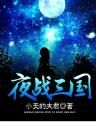 夜戰三國 夜戰三國