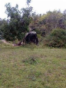 懷德縣[信宜市隋代名稱]