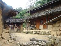 棠梨樹自然村 棠梨樹自然村