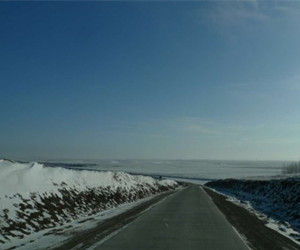 特泥河蘇木 特泥河蘇木